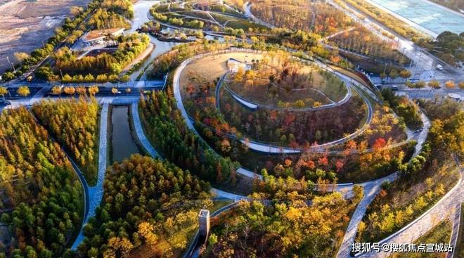 府网站发布)2025年房价_户型配套J9九游会普陀金茂府售楼处(普陀金茂(图10)