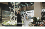 在成都网红景点当“旅游搭子”！j9九游会